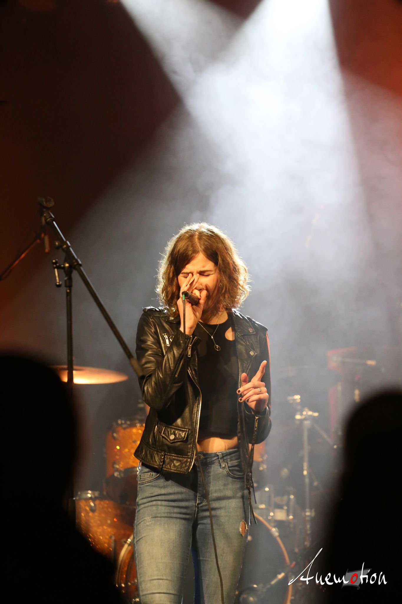 ElephantsFalling (13)